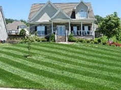 Front Lawn Fertilized in Roseville, MN